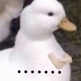 你叉叉