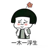 流年798