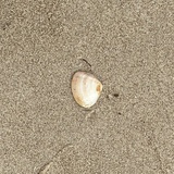ngananan_