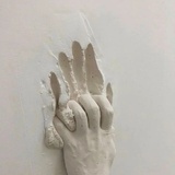 圆耳朵爱好者