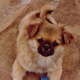 jessy