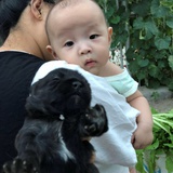 小鱼旺白又白