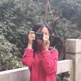 呆呆兔