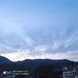 小敏子