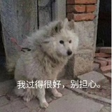 小目标不被骂