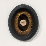 谁是小金