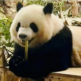 一点点