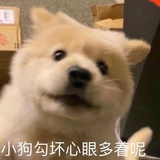 wuwoo111