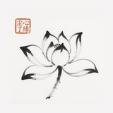 尘心了缘