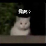 LIN
