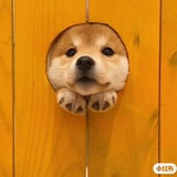 蒙德里安