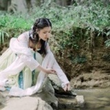 虫爱管闲事
