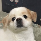 额