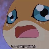 别走燕子