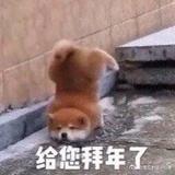 島嶼環夢尋遊