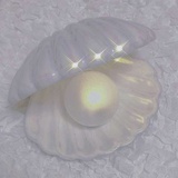 玉面小火锅