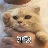 中午要吃米饭