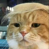 克洛伊伊