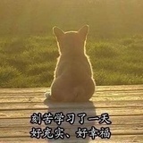 什么什么小添堵