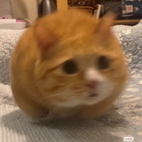 波波波波波