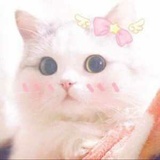 紫藤花园