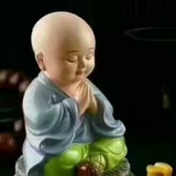 紫星星辰