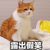 大橘子