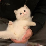 最可爱的宝宝～