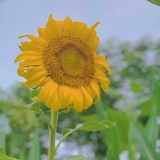 玺澳