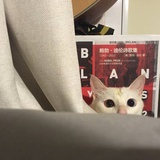 珍珠利特