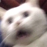 清华研究生
