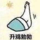 [已注销]