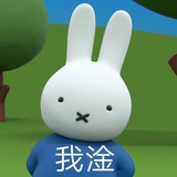 安柒琪