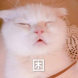叽里咕噜咕咚