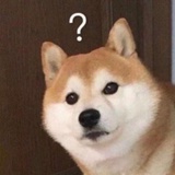 遥望天边🧐