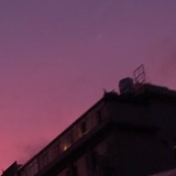 柏舟