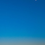 小昆