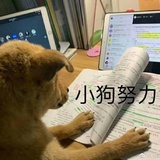 怎么又饿了