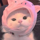 宇宙顶流