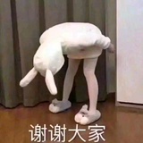 一见过儿误终身