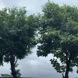 空尘