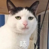 大脚抠汉