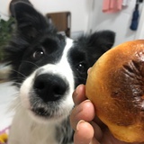 生石灰