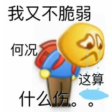 小马过河