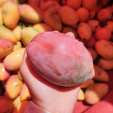 白夜宸缘起三生