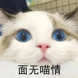 叮当猫