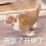 萝卜头
