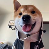 H小姐