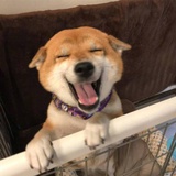 通个电吧