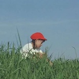 盖世兔媛
